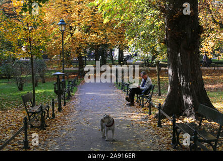 Cracow. Krakow. Poland. Planty park in the center of the Old Town. Older man sitting on the bench under a tree reading a book. Stock Photo