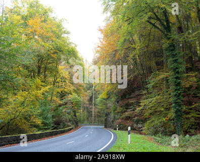 winding road in mullertal during autumn in luxembourg Stock Photo