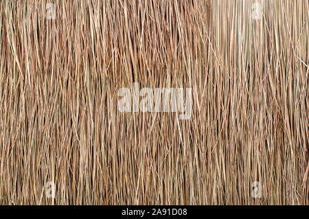 Close up of thatch roof background, hay or dry grass background Stock Photo