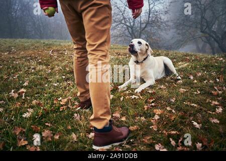 Dog and man on walk in autumn nature. Obedient labrador retriever looking up to his owner.