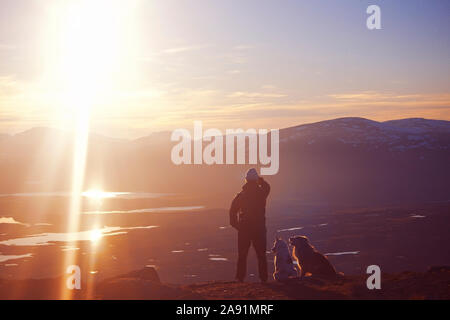 Person with dogs looking at mountains Stock Photo