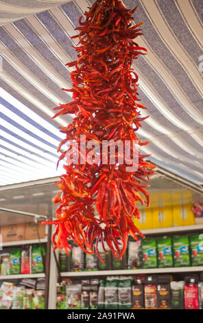 Hanging Strand of Red Chili Peppers in New Mexico southwest US Stock ...