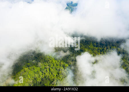 View from above, stunning aerial view of a tropical rainforest with clouds formed from water vapor released from trees and other plants. Stock Photo