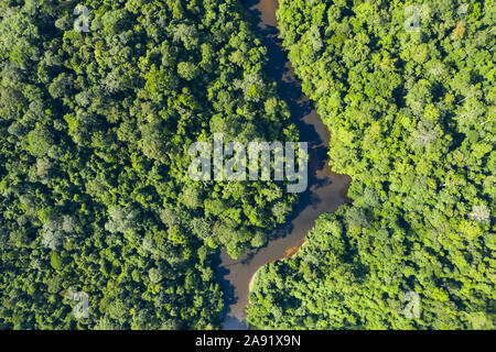 View from above, stunning aerial view of a tropical rainforest with the Sungai Tembeling River flowing through. Stock Photo