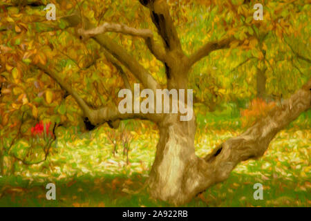 An impressionistic image of an old, gnarled tree shedding its leaves in Autumn in preparation for winter. Stock Photo