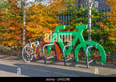 Cork City, Cork, Ireland. 12th November, 2019. A bicycle locked up at a bike rack in  Fitzgerald's Park which is the largest public park in the Cork C Stock Photo