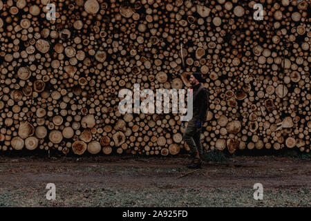 Man standing in front of stack of logs Stock Photo