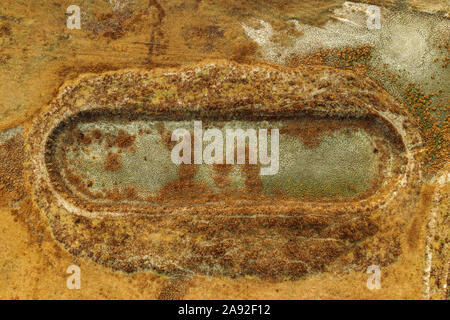 Dried fish farm ponds aerial view from drone pov as abstract background Stock Photo