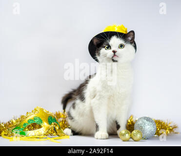 black and white kitten in christmas fancy dress hat Stock Photo