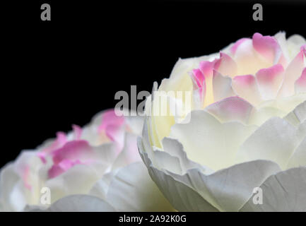 Artificial white and pink flowers with black background copy space Stock Photo