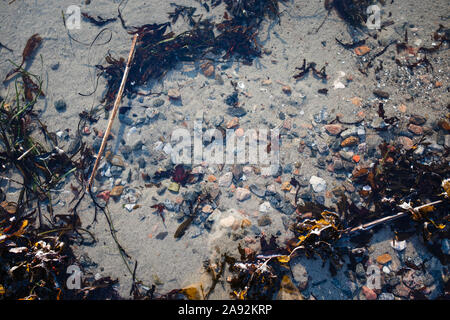 Sand and rocks seen through water Stock Photo
