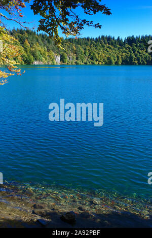view of Pavin lake in Auvergne, volcanic lake, Puy-de-Dome; France Stock Photo