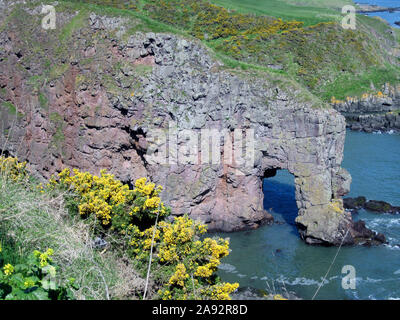 Elephant Rock, near Montrose, Angus, Scotland Stock Photo - Alamy