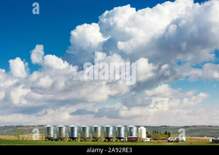 A row of large metal grain bins with dramatic storm clouds and blue sky in the background, West of Calgary; Alberta, Canada Stock Photo