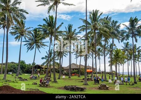 Large grassy park under palm trees with people at picnic tables; Easter Island, Chile Stock Photo