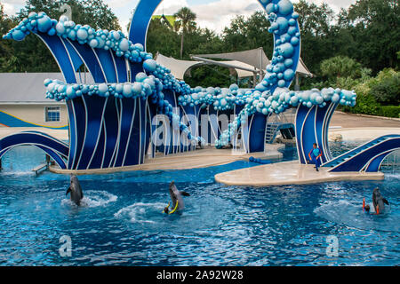 Orlando, Florida. November 06, 2019. Dolphins dance with trainers at Seaworld Stock Photo