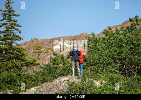 Tourist hikers up in the Windy Point area of the Chugach Mountains in summertime with nearby Dall sheep (Ovis dalli), South-central Alaska Stock Photo