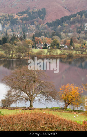 Autumn colours around the shores of Grasmere Lake in the Lake District National Park