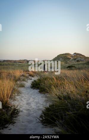 Woman on her back jumping with her arms in the air on a dune in the golden hour Stock Photo