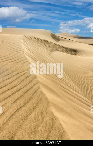 Las  Dunas sand dunes, Maspalomas, Gran Canaria, Canary Islands, Spain Stock Photo