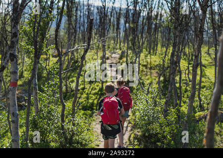 Children walking through forest Stock Photo