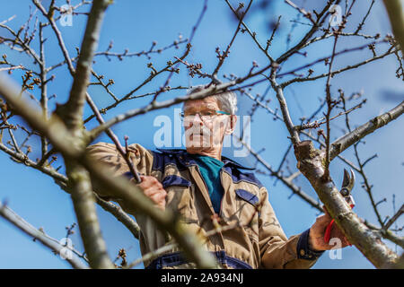 Man on tree Stock Photo