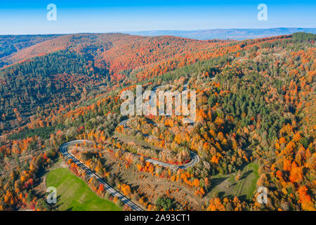 Road in autumn scenery - aerial shot Stock Photo