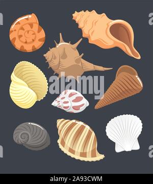 seashell set vector cartoon Stock Vector