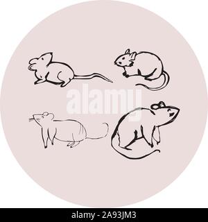 Hand sketch illustration of rats hand drawn mouses Stock Vector