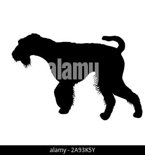 Airedale terrier dog silhouette on a white background. Stock Photo
