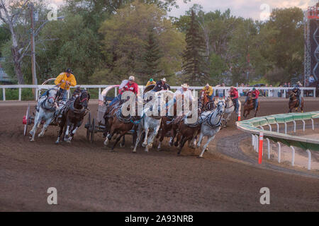Calgary Stampede chuckwagon races, they round the first corner, three wide, and in a hurray Stock Photo