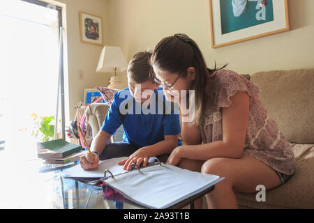 Teenage girl who has Learning Disability studying with her brother Stock Photo