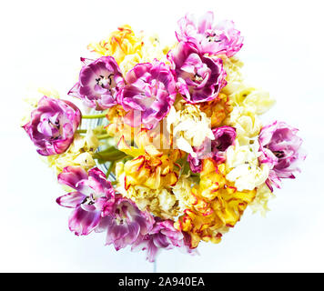 Pink Purple Tulips Over Yellow Background Simple Design Stock Photo Alamy