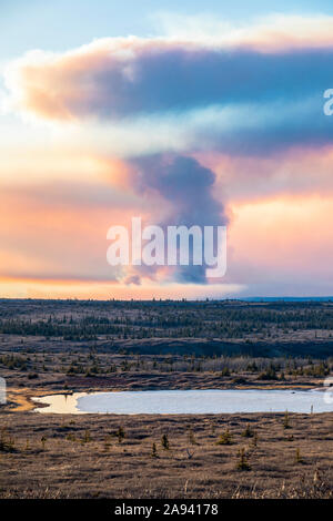 A plume of smoke from the Oregon Lakes wildfire rises high into the sky near Delta Junction in 2019; Alaska, United States of America Stock Photo