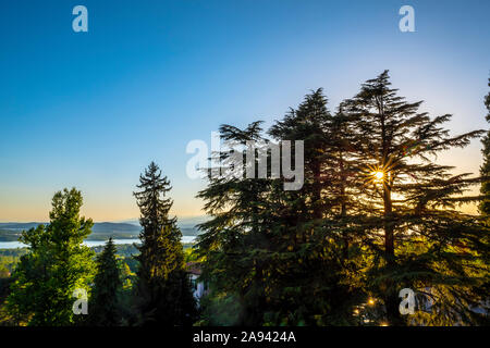 The sun rises in a blue sky behind trees; Varese, Lombardy, Italy Stock Photo