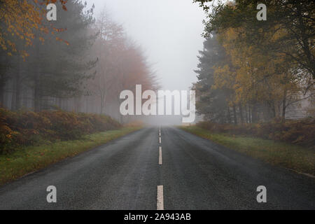 Middle of the road on a foggy misty autumn morning in Cannock Chase forest in England UK Stock Photo