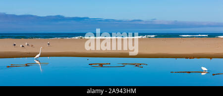 Bright blue water and a sand bar with birds along the Oregon coast; Oregon, United States of America Stock Photo