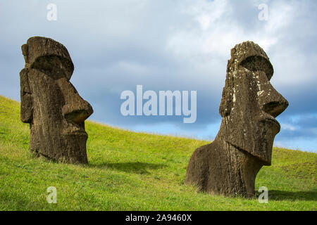 A grassy slope leads the eye towards two moais, seen against an early morning blue sky, Rano ranaku; Easter Island, Chile Stock Photo