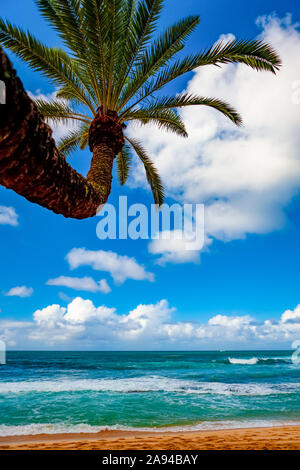 Tropical views of the Pacific Ocean from Waikiki Beach; Honolulu, Oahu, Hawaii, United States of America Stock Photo