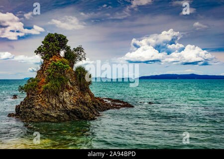 Rock formation with trees off the coast of Coromandel Peninsula; North Island, New Zealand Stock Photo