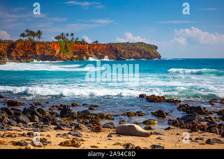 Colourful coastline with palm trees and the Pacific Ocean washing up on a beach of a Hawaiian island; Hawaii, United States of America Stock Photo