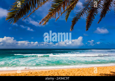 Palm tree on the golden sand and waves of turquoise ocean water rolling into the beach; Oahu, Hawaii, United States of America Stock Photo