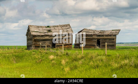 Two collapsing barns sitting on farmland, Kneehill County; Drumheller, Alberta, Canada Stock Photo