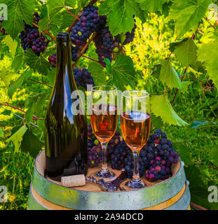 Wine served at a winery with wine glasses and clusters of fresh grapes on a barrel; Quebec, Canada Stock Photo