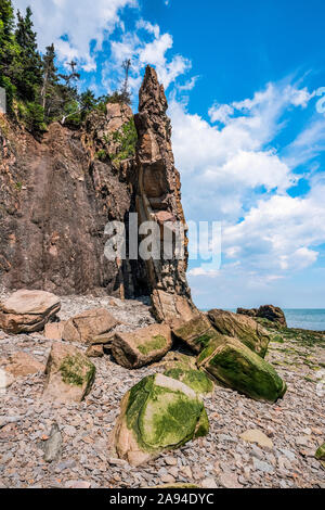 Green, moss-covered rocks along the Atlantic coast of Cape Enrage; Saint John, New Brunswick, Canada Stock Photo