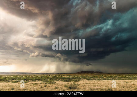 Dramatic dark storm clouds over scrubland; New Mexico, United States of America