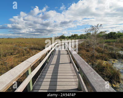 Everglades National Park, Florida - January 3, 2019: Pa Hay Okee Boarwalk over the sawgrass prairie on winter afternoon. Stock Photo