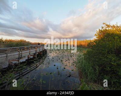 Everglades National Park, Florida - January 3, 2019: Anhinga Trail and Boardwalk under late afternoon winter cloudscape. Stock Photo