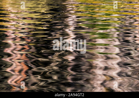 The forest reflects on the ripples at Coffenbury Lake in Fort Stevens State Park at the Oregon Coast; Hammond, Oregon, United States of America Stock Photo