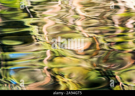 The forest reflects on the ripples at Coffenbury Lake in Fort Stevens State Park at the Oregon Coast; Hammond, Oregon, United States of America Stock Photo